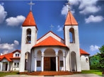 ogloszenia